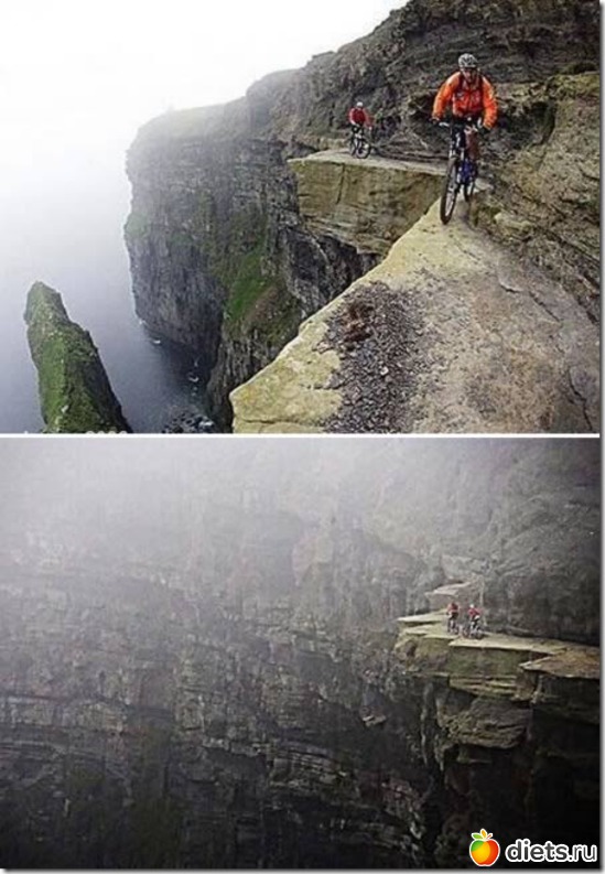 44 ����: ������