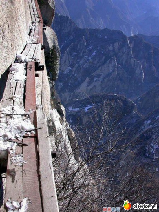 47 ����: ������