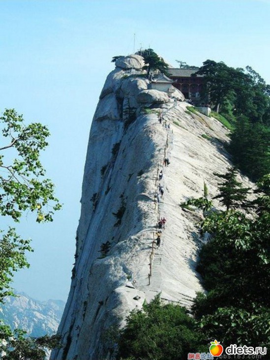 48 ����: ������