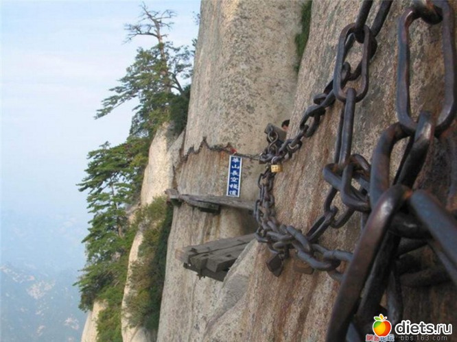 50 фото: разное