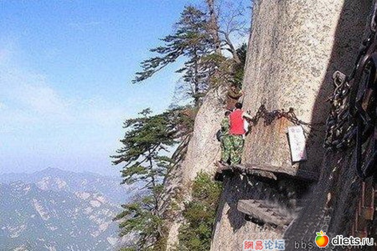 59 ����: ������