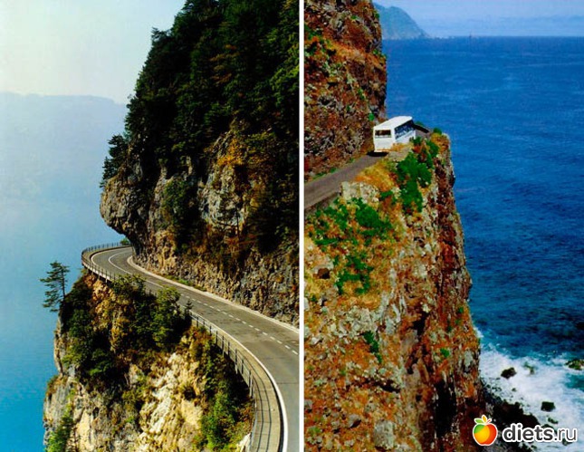 74 ����: ������