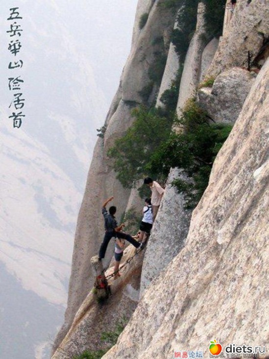 78 ����: ������