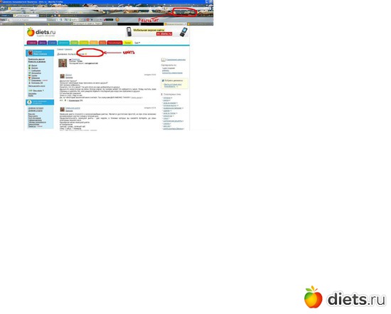 1 ����: �����