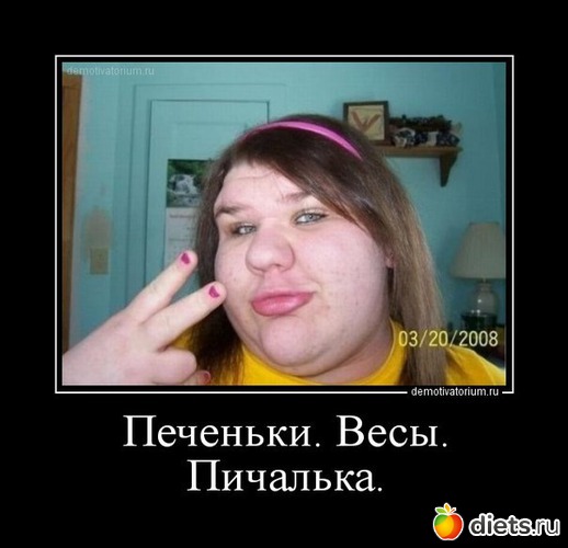 27 ����: ���������