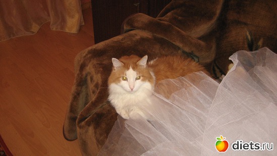 хозяин нашего дома, альбом: моя семья