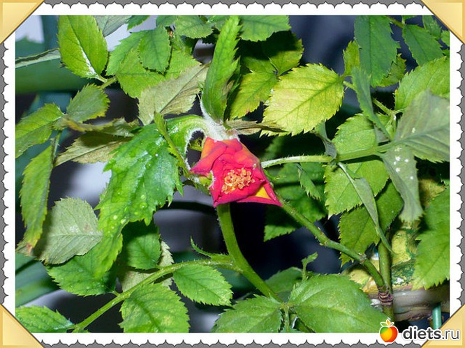 6 ����: ����� ������� ��������� ����.