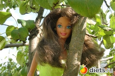 ������ � ��������� �����-��������