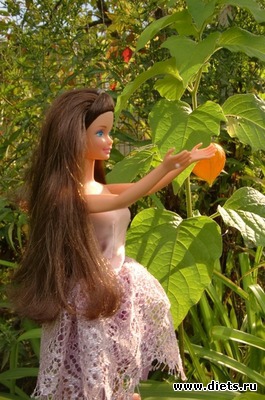 ������ � ��������� �����-��������