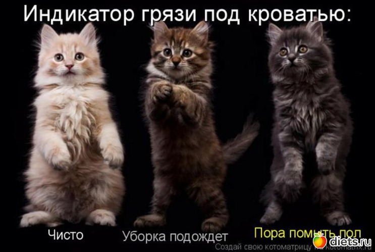 33 фото: Мой альбомчик