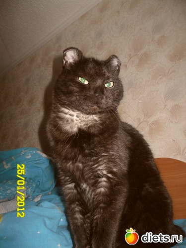 ��� ������, ������: �