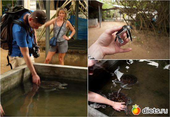 �� ����������� �����, ������: ���-����� - "�������������� �����"