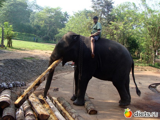 �� �������, ������: ���-����� - "�������������� �����"