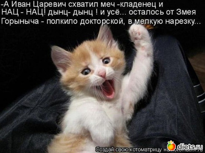 48 ����: �����������