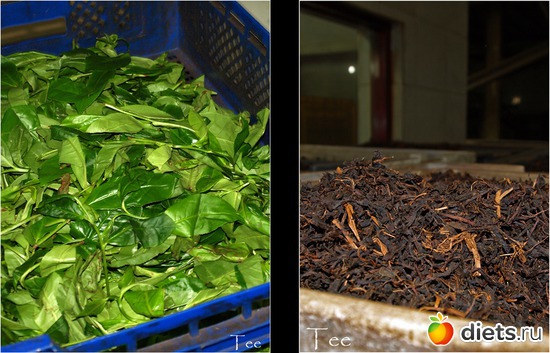 ������ �������� - ������ � ����������������, ������: ���-����� - "�������������� �����"