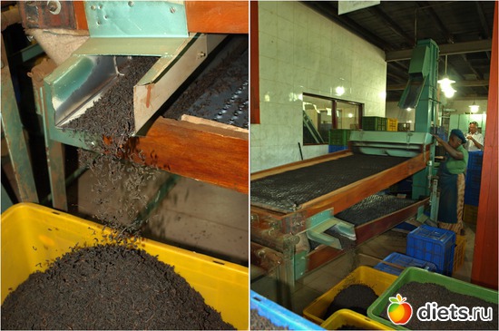 50 фото: Шри-Ланка - "благословенная земля"