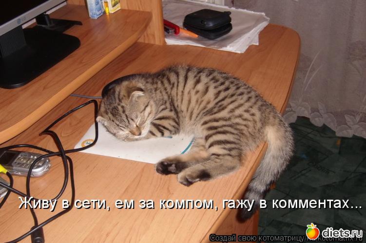 49 ����: �����������