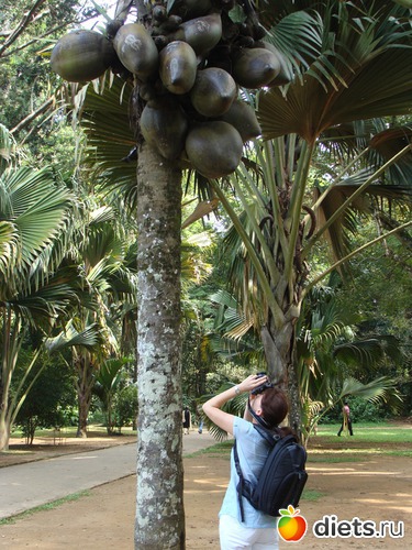 � ������������ ����, ������: ���-����� - "�������������� �����"