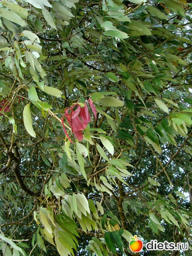 � ��������� ������ ������� ������ �������, ����� ��������, ������: ���-����� - "�������������� �����"