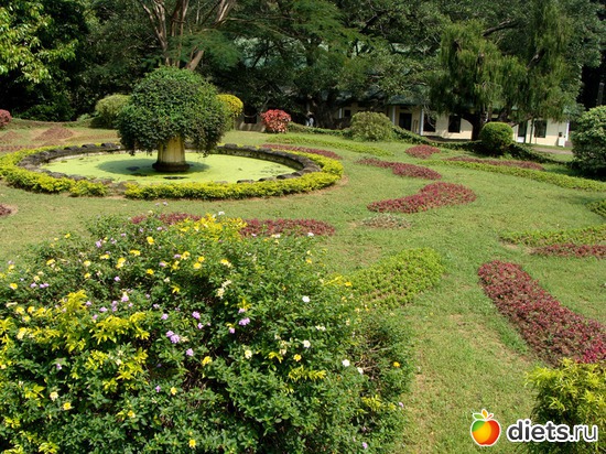 57 ����: ���-����� - "�������������� �����"