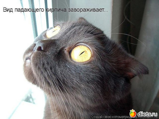 50 ����: �����������