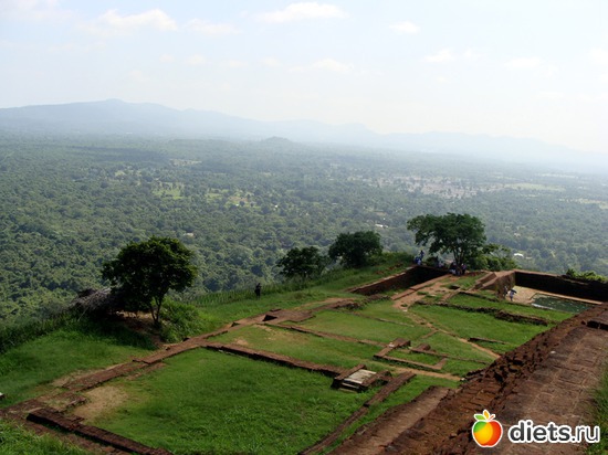 ������� 3-� �������� ������������ ������, ������: ���-����� - "�������������� �����"