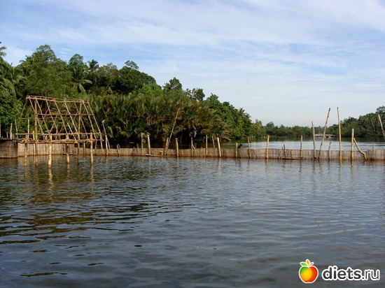 запруды для ловли рыбы, альбом: Шри-Ланка - "благословенная земля"