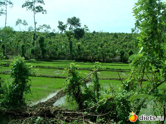 ������� ����, ������: ���-����� - "�������������� �����"