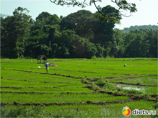 112 ����: ���-����� - "�������������� �����"