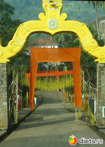 когда умирает мoнах, на улице вывешивают оранжевые или желтые полотнища, если умирает простой человек, то вывешивают белые, альбом: Шри-Ланка - "благословенная земля"