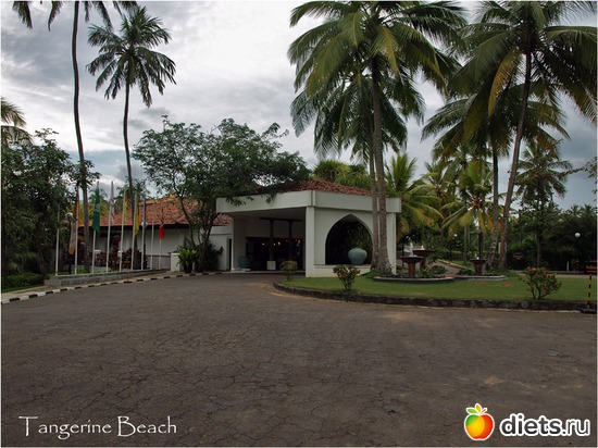 ������� 2011, ����� Tangerine-Beach, ��������, ������: ���-����� - "�������������� �����"