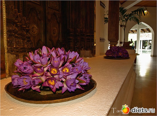 2 ����: ���-����� - "�������������� �����"