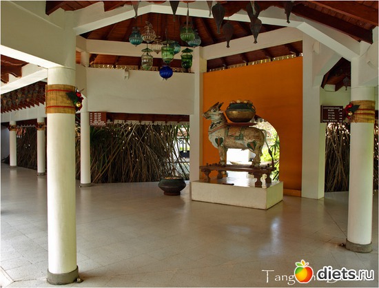 ���� �����, ������: ���-����� - "�������������� �����"