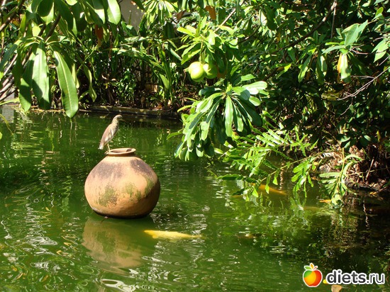 9 ����: ���-����� - "�������������� �����"