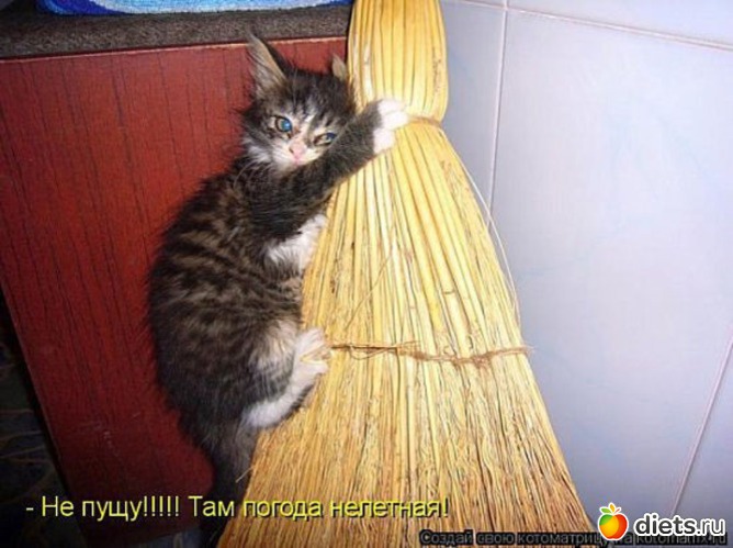 53 ����: �����������