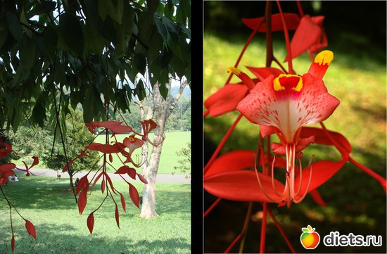 58 ����: ���-����� - "�������������� �����"