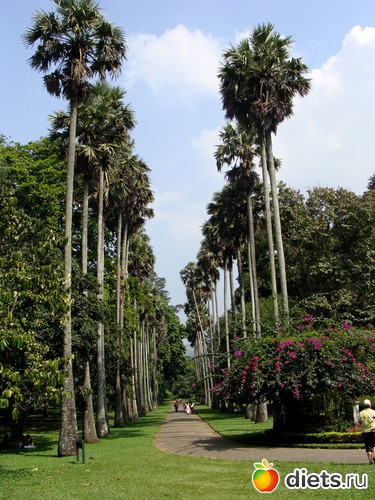 60 ����: ���-����� - "�������������� �����"