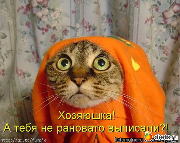 57 ����: �����������