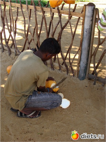кокосовые орехи - на пляже 100 рупий, за пределами отеля можно купить за 25 рупий, альбом: Шри-Ланка - "благословенная земля"