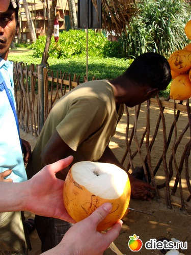 14 фото: Шри-Ланка - "благословенная земля"