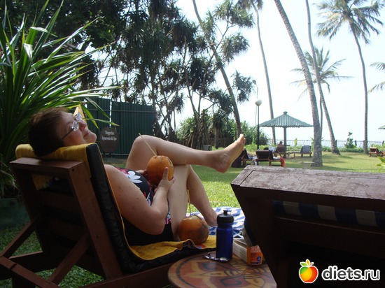 15 фото: Шри-Ланка - "благословенная земля"