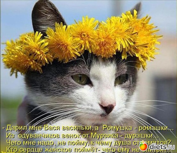 59 ����: �����������