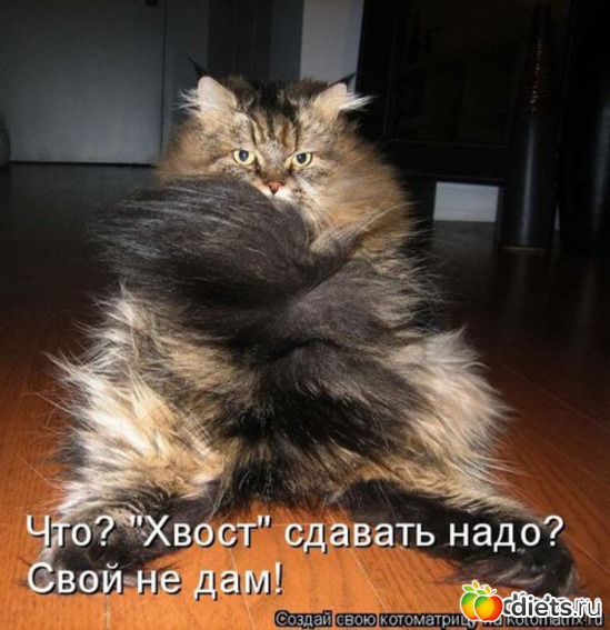 60 ����: �����������