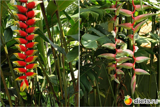 69 ����: ���-����� - "�������������� �����"