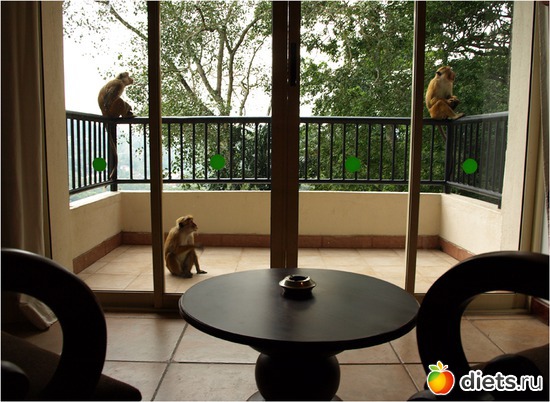 73 ����: ���-����� - "�������������� �����"