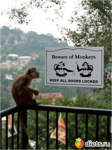 �������������� - ������� ����� ���������, ������: ���-����� - "�������������� �����"