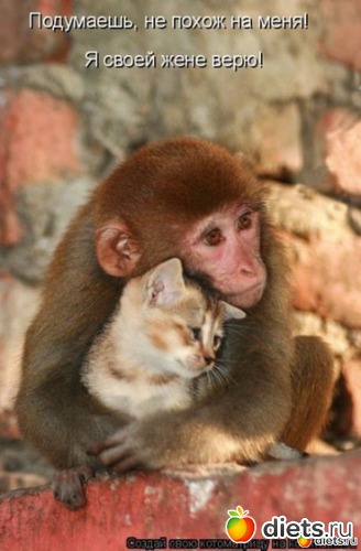 69 ����: �����������