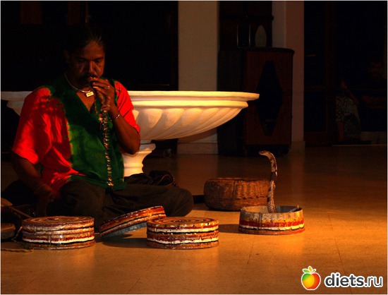 и укротитель змей, альбом: Шри-Ланка - "благословенная земля"