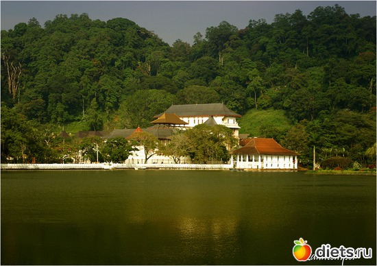 ��� �� ���� ���� ����� ����..., ������: ���-����� - "�������������� �����"