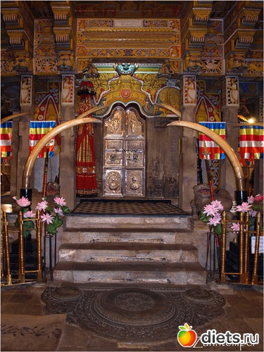 86 фото: Шри-Ланка - "благословенная земля"